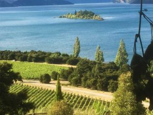 Fine wines of New Zealand