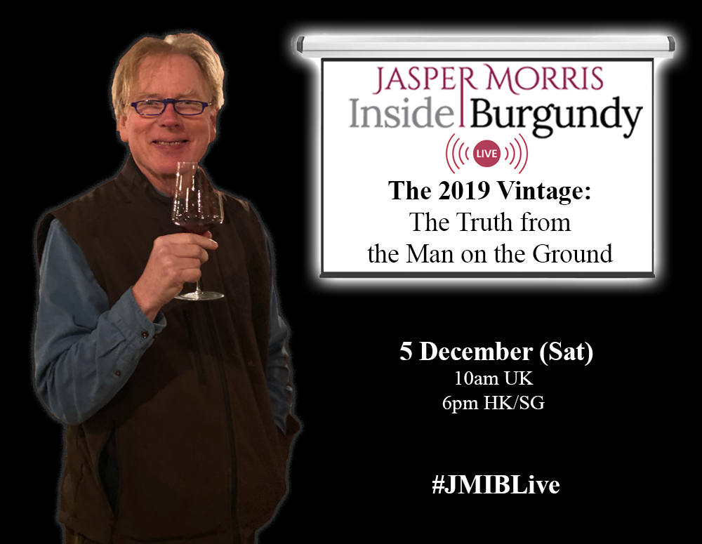 JMIB Live: The 2019 Vintage: The Truth from the Man on the Ground
