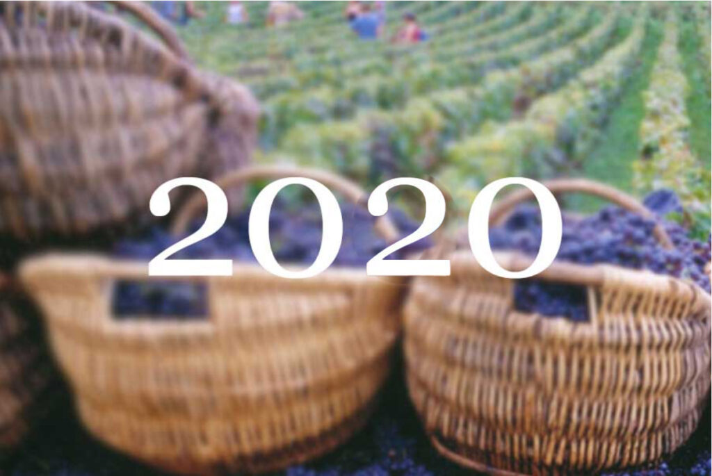 2020 Vintage Overview