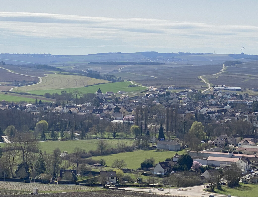 2019: Further Tastings from Chablis