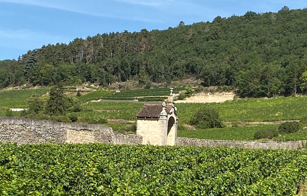 2021 Côte de Nuits North: Chambolle-Musigny to Marsannay